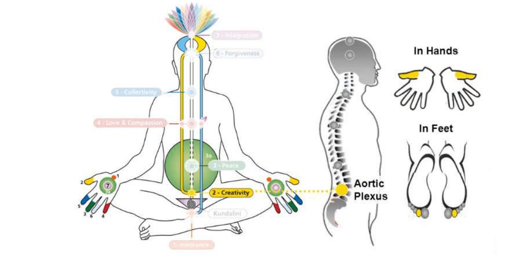 Swadhisthan Chakra