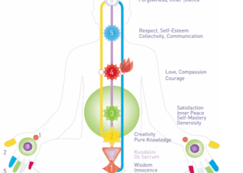 Nabhi Chakra