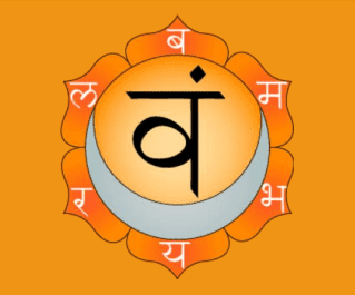 The Swadishthan Chakra